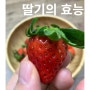 딸기 효능 냠냠냠 맛있는 과일 간식 제철 스트로베리