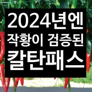 2024년 고추농사 시작! 작황이 검증된 맛있게 매운 <칼탄패스> 심으세요