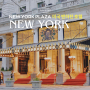 뉴욕 플라자 호텔 정보 총정리ㅣ미국 맨하탄 호텔