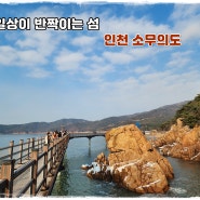 인천 여행-소무의도/하나개 테크길/염전카페/을왕리해변