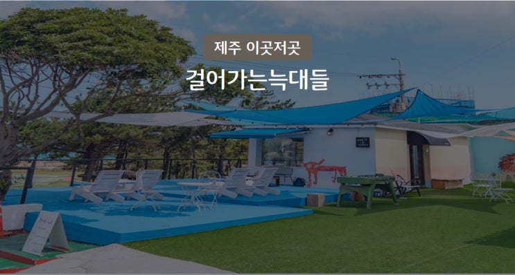 [제주 이곳저곳] 걸어가는늑대들