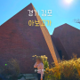 김포 피라미드 대형 베이커리 카페 아보고가 뜻, 포토존, 밤 빙수