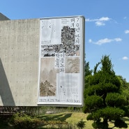 [일상] 대전여행 - 엑스포 시민광장, 한밭수목원, 이응노 미술관 (2023.05)