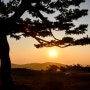 [강화 전등사 일출] 인천 해돋이 명소 삼랑성과 전등사의 아침