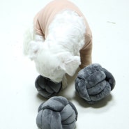 자이언트얀으로 만든 가방 /자이언트얀 자투리로 만든 반려동물 장난감 공