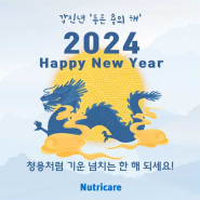 2024년 갑진년(甲辰年), 새해 복 많이 받으세요!!