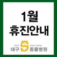 [대구S동물병원]1월 휴진 및 진료시간 안내