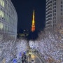 23년 도쿄🇯🇵 도쿄 겨울 여행의 홀리데이 일루미네이션