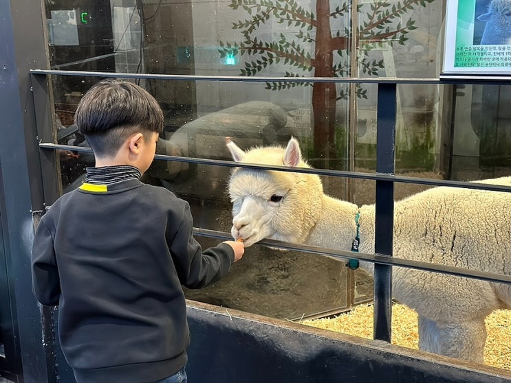 청주 가볼만한곳 실내동물원 애니멀빌리지 동물 먹이주기 체험