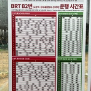 세종 시내버스 시간표: BRT B2 B4 1004번 1005번 반석역 출발 23년12월기준