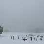 눈 내리는 풍경: 올림픽공원