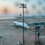 마카오 공항 가는 택시 정보 및 면세점과 라운지 구경 (feat 조식 스타벅스)