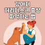 강아지 허리디스크 증상 파악하는법