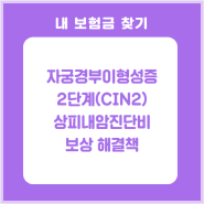 자궁경부이형성증 2단계 CIN2 상피내암진단비 보상해결책