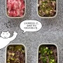 요즘 즐겨먹는 [알배추 버섯 고기 찜] 을 소개합니다 ㅎㅎ