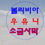 우유니소금사막/남미여행/볼리비아의꿈같은여정