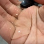바디브 :: 두피각질원인 제거 향좋은 바디브(VADEV) 약산성샴푸 사용 후기