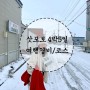 겨울 일본 삿포로여행 4박5일 경비 및 일정(환전, 유심, 항공권, 숙소 등 여행준비)