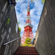 [일본 도쿄] 도쿄타워 인생샷 포토스팟 지도 위치 (시바공원, 아카바네바시역 출구)