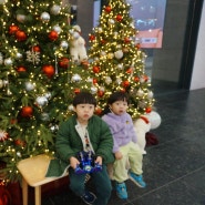 아이들과 인천 주안 <아인병원> 예쁜 크리스마스트리 포토존에서 사진!