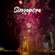 싱가포르 여행 | 래플스 시티몰 구경 맛집 기념품 가게 추천, 내셔널데이 국경기념일 불꽃축제 시간 위치