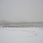 눈 내리는날 "소래습지 생태공원"의풍경