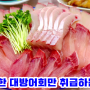 김해대방어맛집 진정한 대방어 회만 취급하는 부산산오징어