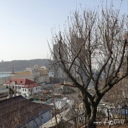인천 자유공원 _ 산책과 전망, 그리고 맥아더 동상