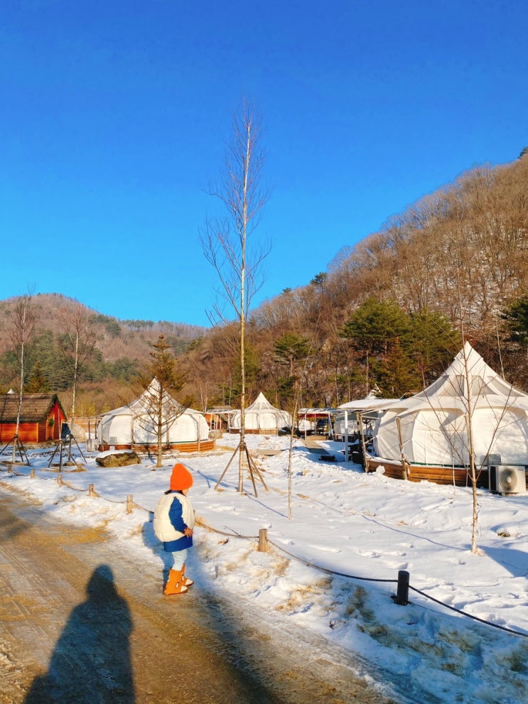 여행, 캠핑/글램핑 계의 에르메스, 라플란드에 다녀왔어요✌