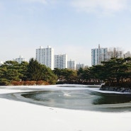 겨울엔 여기! 성남시 겨울 명소 BEST 3 공원 소개!