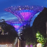 [싱가포르 여행] ④ '가든스 바이 더 베이' 완전정복 2편_'슈퍼트리쇼' & '싱가포르 플라이어' 감상기 (2023년 12월)