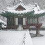 서울 설경 | 창덕궁 후원 | 겨울 여행 | 눈이 온날