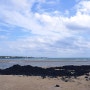 제주 표선 가볼 만한 곳 표선해수욕장 탁 트인 바다 전망과 이국적인 풍경