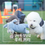 강아지 장난감 l 지피포우즈 [우리 끼리] 쉿 달나라 시리즈