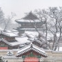 대설주의보 속에서 찾아간 '창덕궁, 북촌한옥마을, 덕수궁'... 한국의 아름다운 겨울을 보여주는 서울 가볼 만한 곳 세 군데