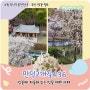 부산 벚꽃 명소로 불리는 카페 만덕고개길436 4월 부산가볼만한곳