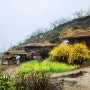 하동 악양 평사리 토지 마을 - 섬진강 벚꽃 여행2
