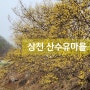충북 제천 가볼만한 곳 상천 산수유 마을과 청풍호 벚꽃 축제 정보