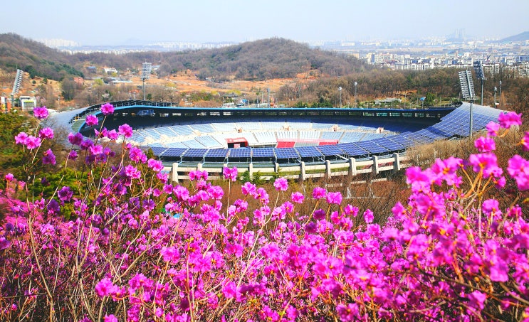 부천 원미산 진달래동산 축제 (부천 가볼만한곳)