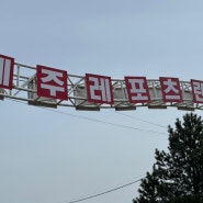 [공유]제주레포츠랜드/제주놀거리/액티빅티추천/레이싱/썰매