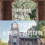 대만여행 #21 단수이 가볼만한곳 홍마오청 진리대학 소백궁