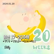 [임신일기]17-20주차 경산모의 태교여행계획하기, 정밀초음파