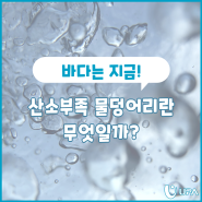 산소부족 물 덩어리란 무엇일까?