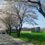 전국에서 가장 긴 구례 300리 벚꽃길
