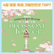2024년 4월 전국 벚꽃축제 가볼만한곳 TOP7