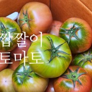 친환경재배 100%정품 대저토마토 새벽농수산