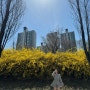 3월 4주 : 집밥 전선생👩🏻🍳, 벚꽃 구경🌸, 서울 나드리🧺, 쇼핑🛍️