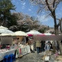 경주 여행 벚꽃 축제 방문 후기(황남쫀드기, 최영화빵)