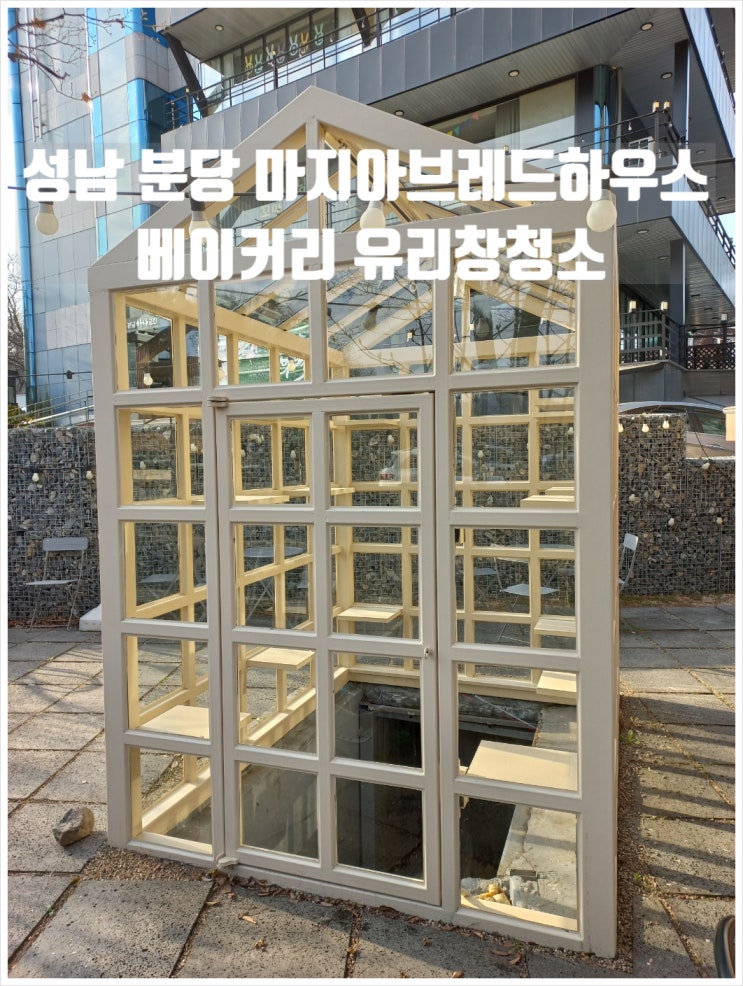 성남 분당 마지아브레드하우스      베이커리 카페 유리의 집...