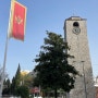[2024 발칸 여행] 알바니아에서 몬테네그로 / 몬테네그로 eSIM / 포드고리차 버스터미널 / Podgorica 대중교통 / Budva & Kotor 가는 법